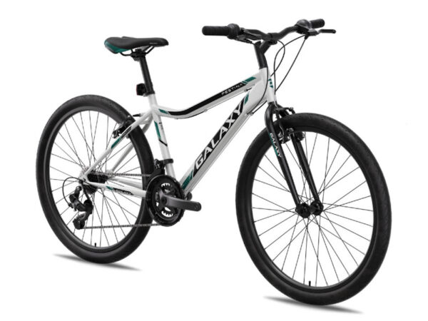 Bicikl Galaxy Festina 26"/18 za decu Sivo crna zelena