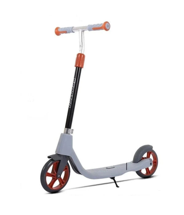 Trotinet SnakeBoard Sivi za decu i mlade